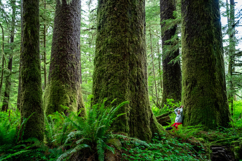 Kelly Kiss forest bathing at Carmanah Walbran Provincial Park, Vancouver Island, BC Canada